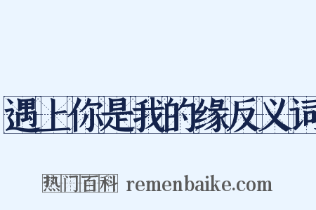 遇上你是我的缘反义词是什么意思的图片